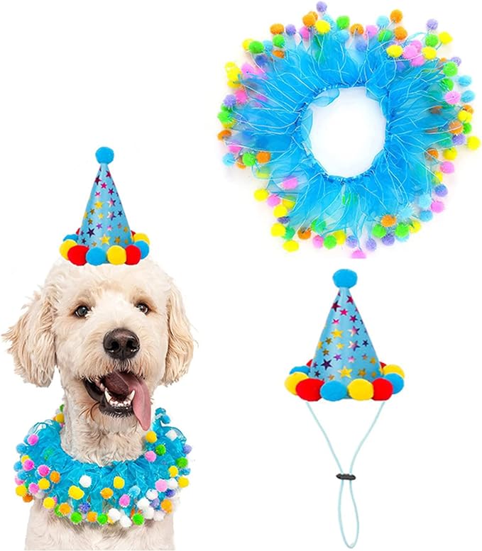 Lionheart glory Birthday Dog Collars by LionheartGlory
