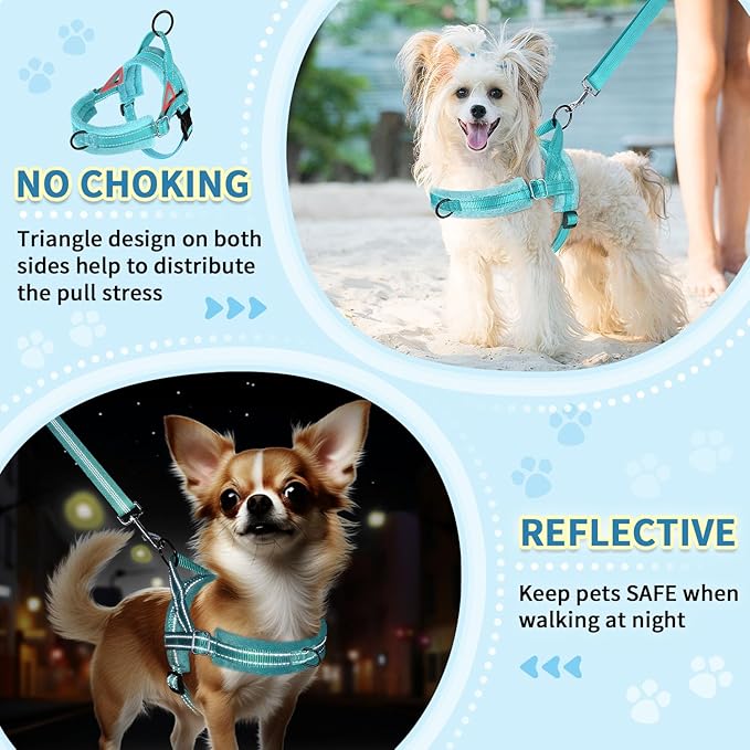 SlowTon No Pull Small Dog Harness and Leash Set, Puppy Soft Vest Harness Neck & - Image 3