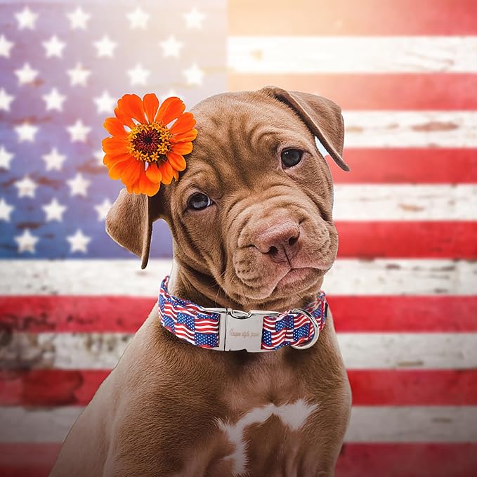 Unique style paws Independence Day Dog Collar Metal Buckle Wave Flag Collar - Image 4