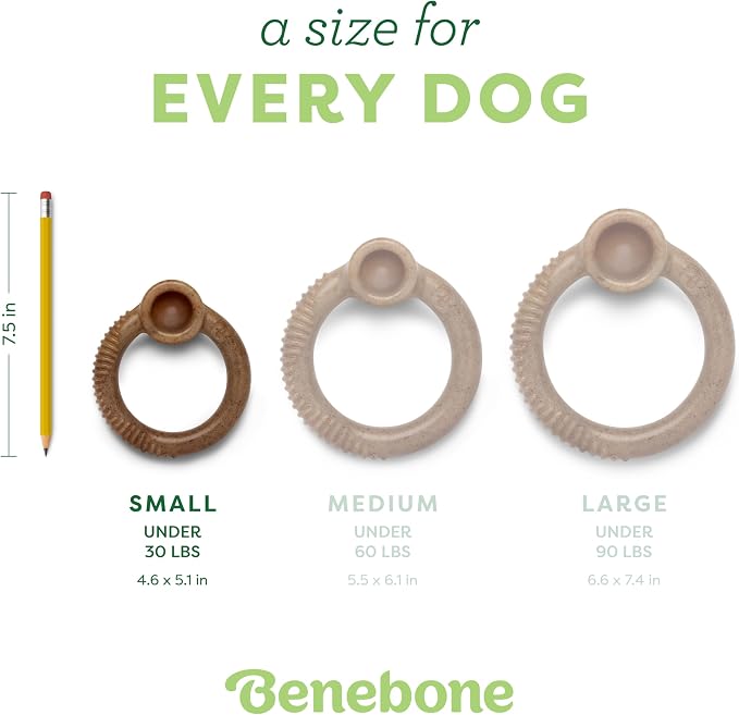 Benebone Ring Durable Dog Chew Toy - Image 4