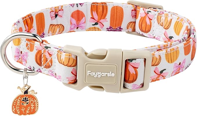 Faygarsle Fall Pumpkin Pattern Dog Collar by Faygarsle