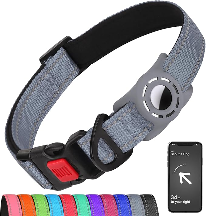 Airtag Dog Collar with AirTag Holder by Erbine