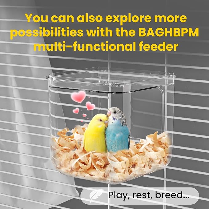 No Mess Automatic Bird Feeder, Transparent Seed Food Container, Bird Cage - Image 8