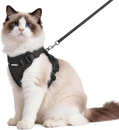 rabbitgoo Cat Harness and Leash by rabbitgoo