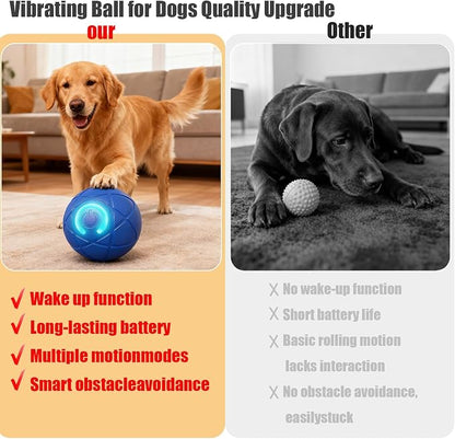 Valentines Day Gifts Dog Balls Interactive Dog Toys 2pc Shaky Ball Toy - Image 5
