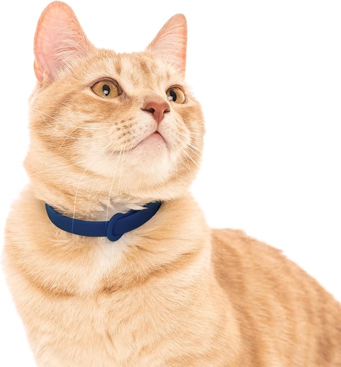 Break Away Collar for Cats - Image 5