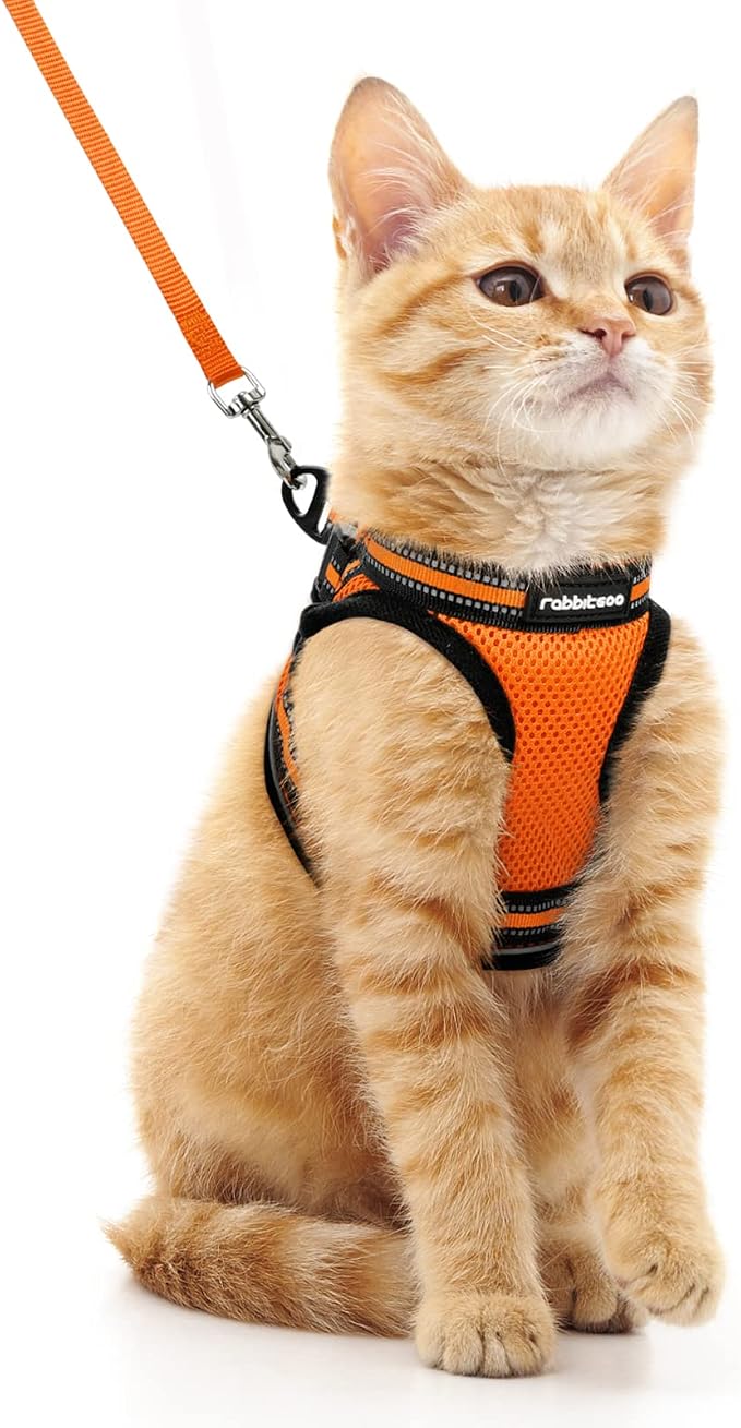 rabbitgoo Cat Harness and Leash Set by rabbitgoo