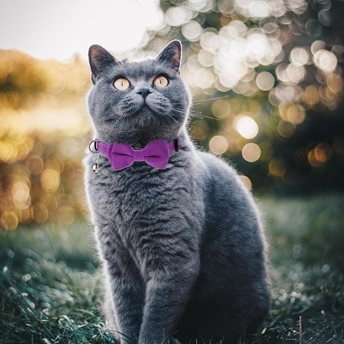 2 Pcs Kitten Collar with Bell Cute Cat Collar - Image 3