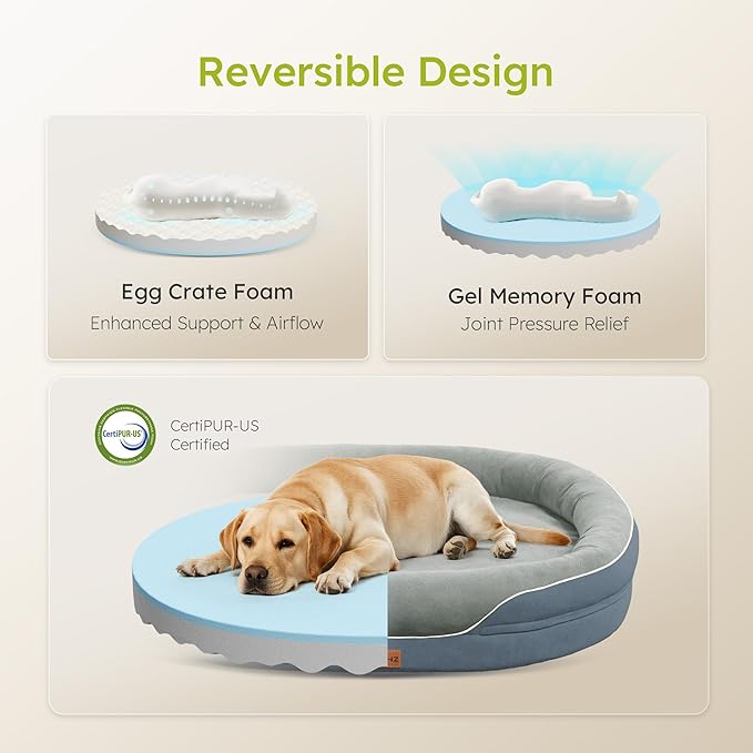 Jumbo Orthopedic Dog Bed, Big Dog Beds - Image 3