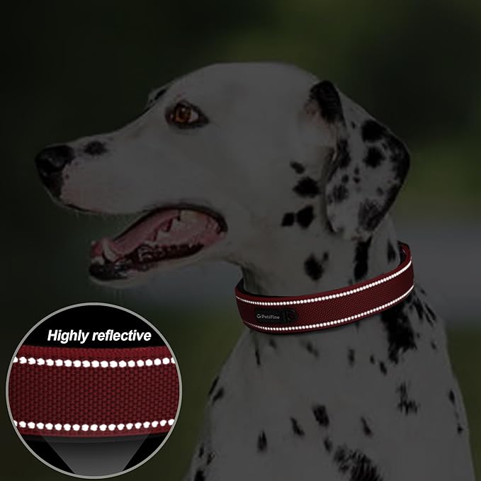 PetiFine Dog Collars for Medium Dogs, Neoprene Padded and Adjustable, - Image 4