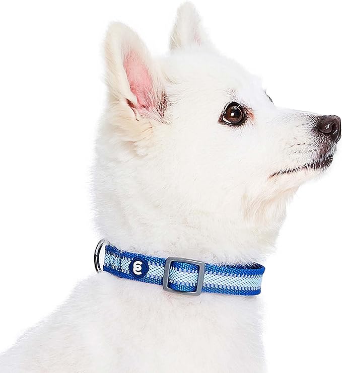 Blueberry Pet Large Dog Collar in Reflective Navy Blue | Adjustable Classic - Image 4