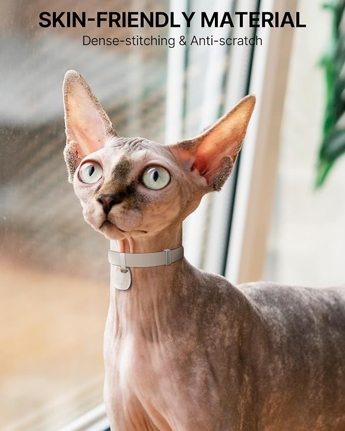 Cat Collar with QR Code Name Tag, Breakaway Kitten Collar - Image 5