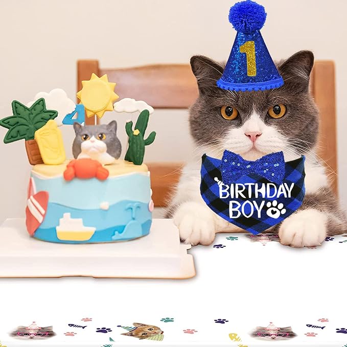STMK Cat Birthday Decorations, Cat Birthday Hat - Image 6