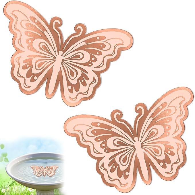 2Pcs Bird Bath Copper Disk, 0.6mm Reinforced 99.9% Pure Copper Cleaning Disk by VeyFolzinst