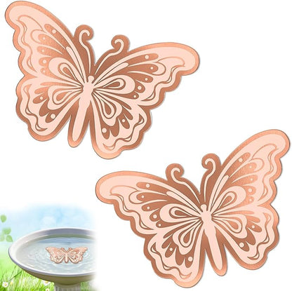 2Pcs Bird Bath Copper Disk, 0.6mm Reinforced 99.9% Pure Copper Cleaning Disk by VeyFolzinst