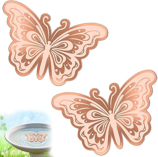 2Pcs Bird Bath Copper Disk, 0.6mm Reinforced 99.9% Pure Copper Cleaning Disk by VeyFolzinst