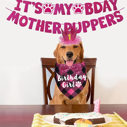Dog Birthday Decorations - Image 2