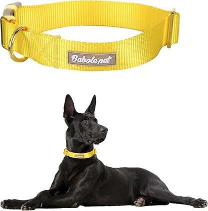 Nylon Dog Collar - Image 2