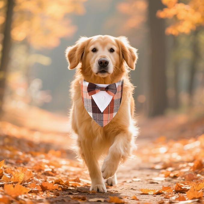 ADOGGYGO Fall Dog Tuxedo Bandana, Adjustable Halloween Thanksgiving Costume - Image 3
