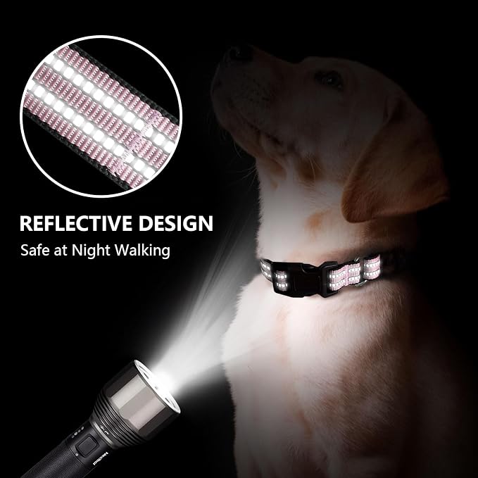 Martingale Dog Collar, Adjustable Nylon Reflective Collar - Image 3