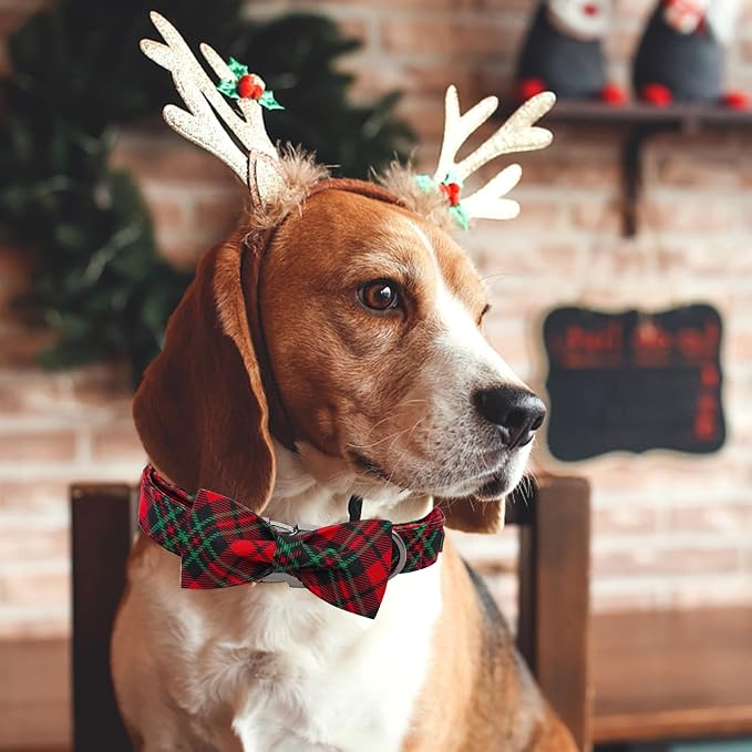 Dog Collar, Christmas Plaid Pet Collar Bow Holiday Bows Girl Boy Bow Dog - Image 5