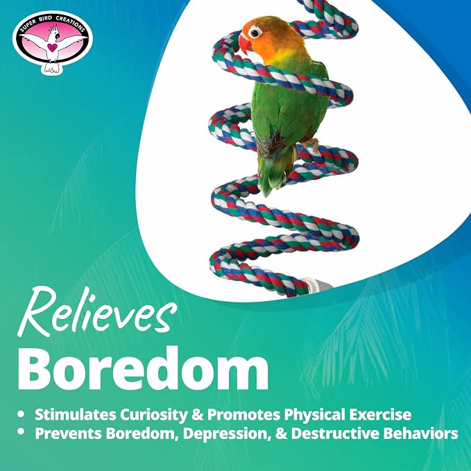 Super Bird Creations SB323 Small Bungee Bird Toy - Image 6