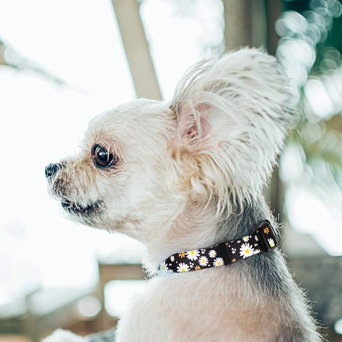 QQPETS Adjustable Soft Dog Collar: Print Flower Pink Multicolor Cute Patterns - Image 2