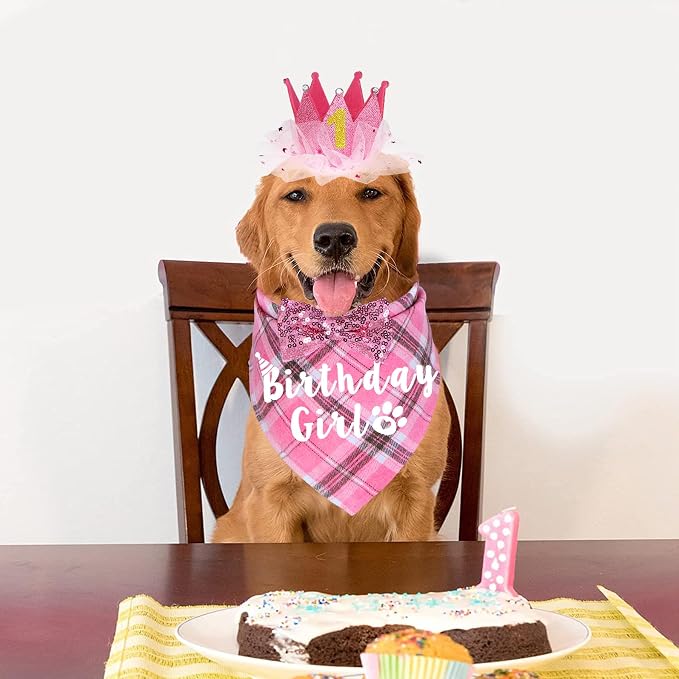 Dog Birthday Party Supplies - Image 7