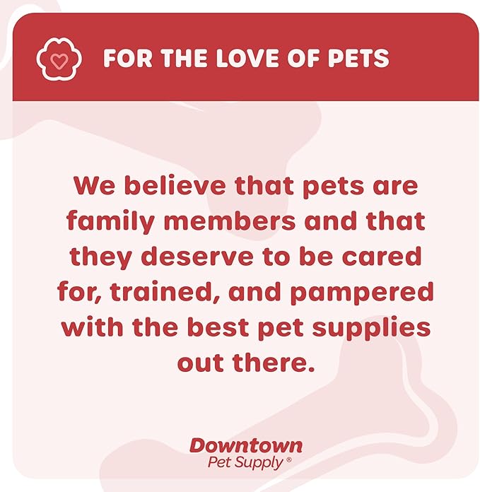 Downtown Pet Supply Step in Dog Harness No Pull, Light Gray - Image 8