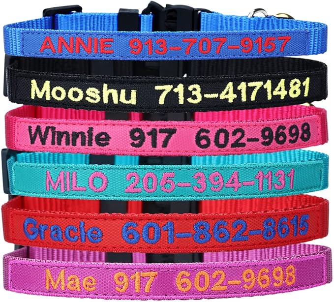 Personalized Nylon Cat Collar Breakaway by Unknown