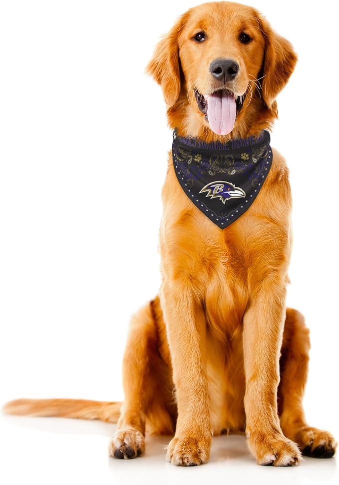 Littlearth NFL Denver Broncos Pet Bandana - Image 3