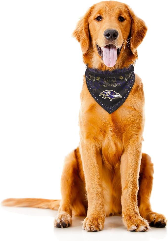 Littlearth NFL Denver Broncos Pet Bandana - Image 3