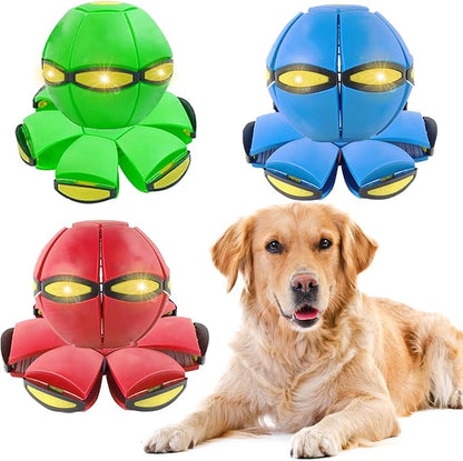 3PCS Dog Flying Disc Toy by BADWALT