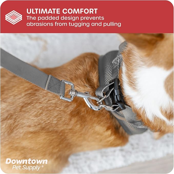 Downtown Pet Supply Step-in Dog Harness – No Pull, Adjustable Padded Mesh - Image 6