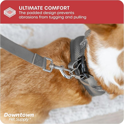 Downtown Pet Supply Step-in Dog Harness – No Pull, Adjustable Padded Mesh - Image 6