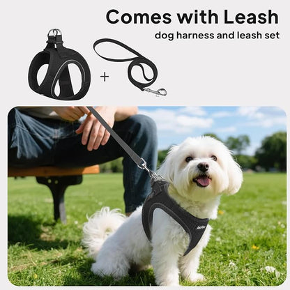 PetiFine Step in Small Dog Harness and Leash Set, Breathable All Weather Air - Image 5