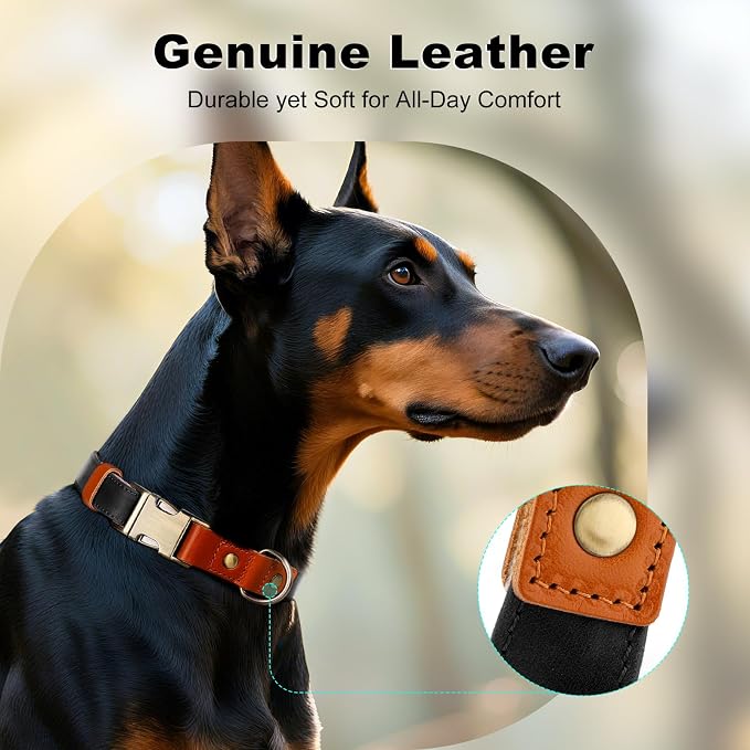Plutus Pet Genuine Leather & Hemp Dog Collar – Adjustable Heavy Duty Pet Collar - Image 3