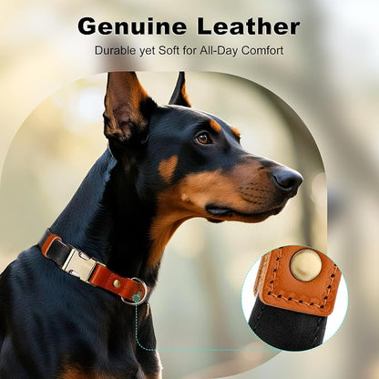 Plutus Pet Genuine Leather & Hemp Dog Collar – Adjustable Heavy Duty Pet Collar - Image 3
