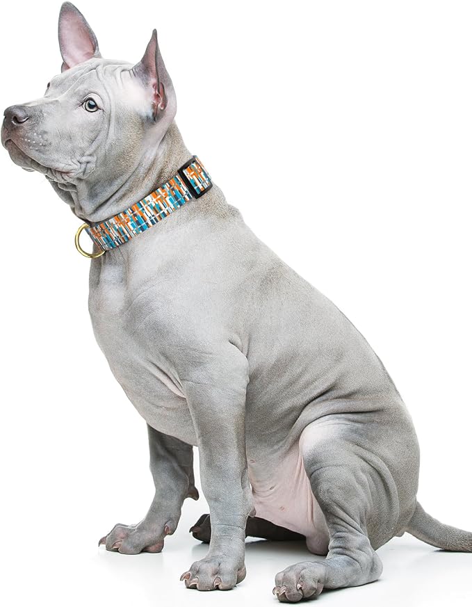 Reflective Dog Collar for Medium Dogs, Cute Boho Adjustable Heavy-Duty Nylon - Image 2