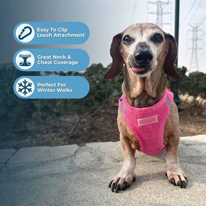 Best Pet Supplies - Image 5