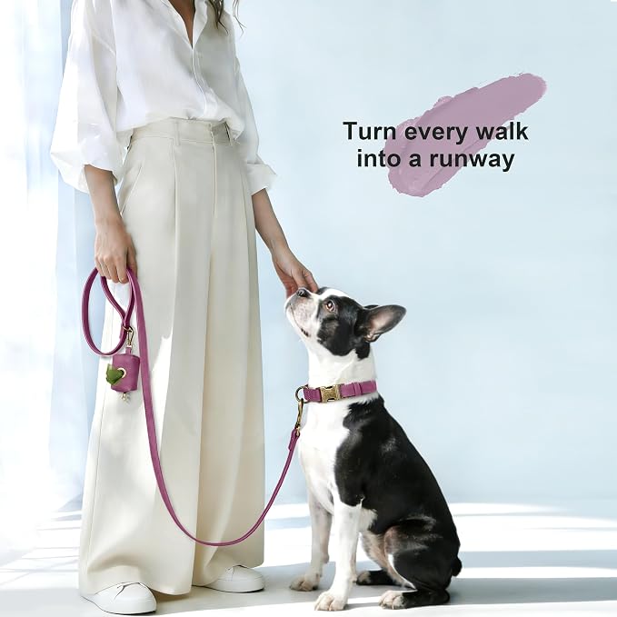Didog Soft PU Leather Dog Collar, Stylish Quick Released Dog Collars - Image 4