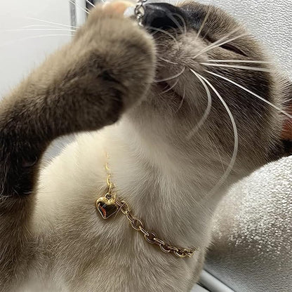 HOWWFALY Dog Collar and Cat Chain Necklace Stainless Steel Adjustable 18K Gold - Image 6