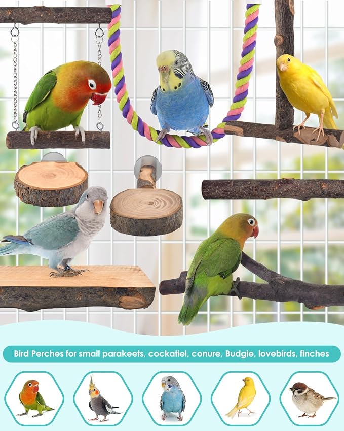 Bird Perches - Image 7