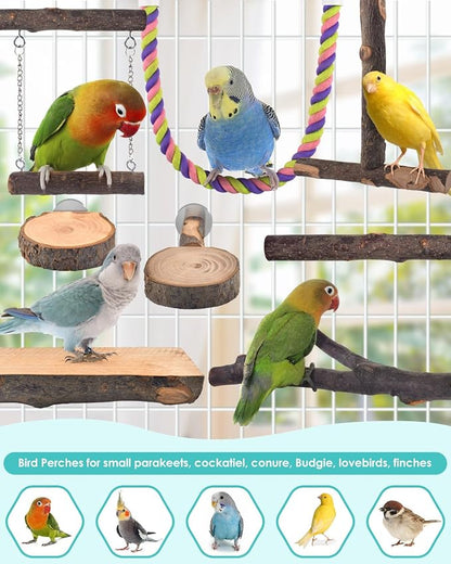 Bird Perches - Image 7