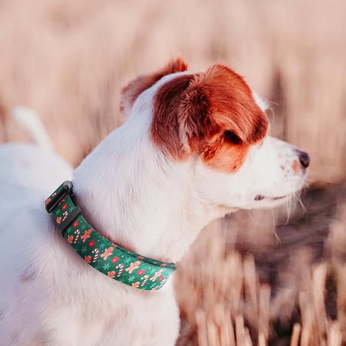 QQPETS Adjustable Soft Dog Collar: Print Flower Pink Multicolor Cute Patterns - Image 6