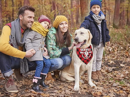 Dog Bandana, Therapy Dog Please Pet Me with, Dogs Scarf Classical Printing - Image 5