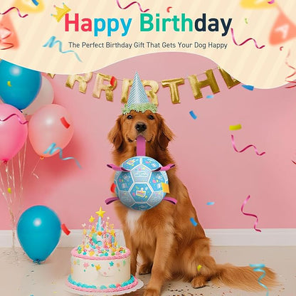 QDAN Dog Birthday Toys, Soccer Ball - Image 4