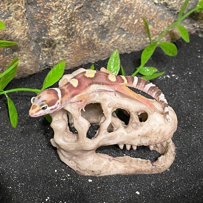 2 Pack Dinosaur Aquarium Decorations Skull Aquarium Ornament Mini Dinosaur Mold - Image 2