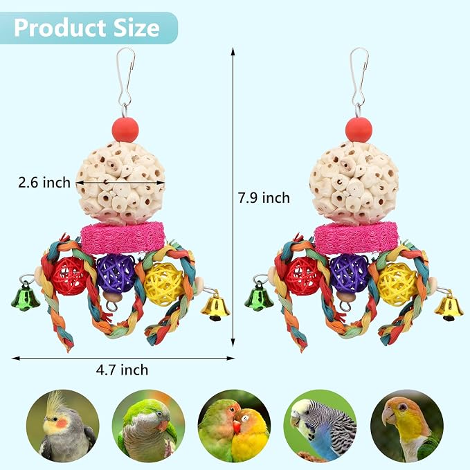 Wontee Bird Toys 3 Pack Parrot Foraging Hanging Toys Sola Ball Natural Nuts - Image 5