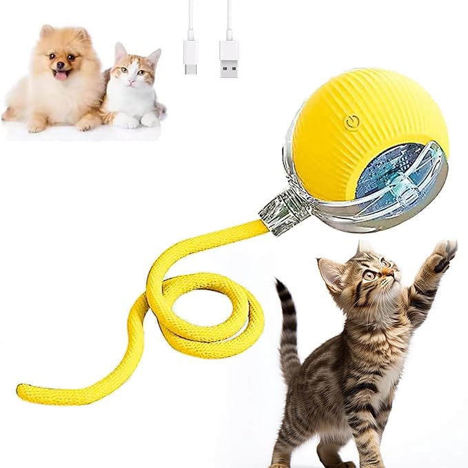 Automatic Interactive Rolling Cats Dog Toys Ball by iHvcat